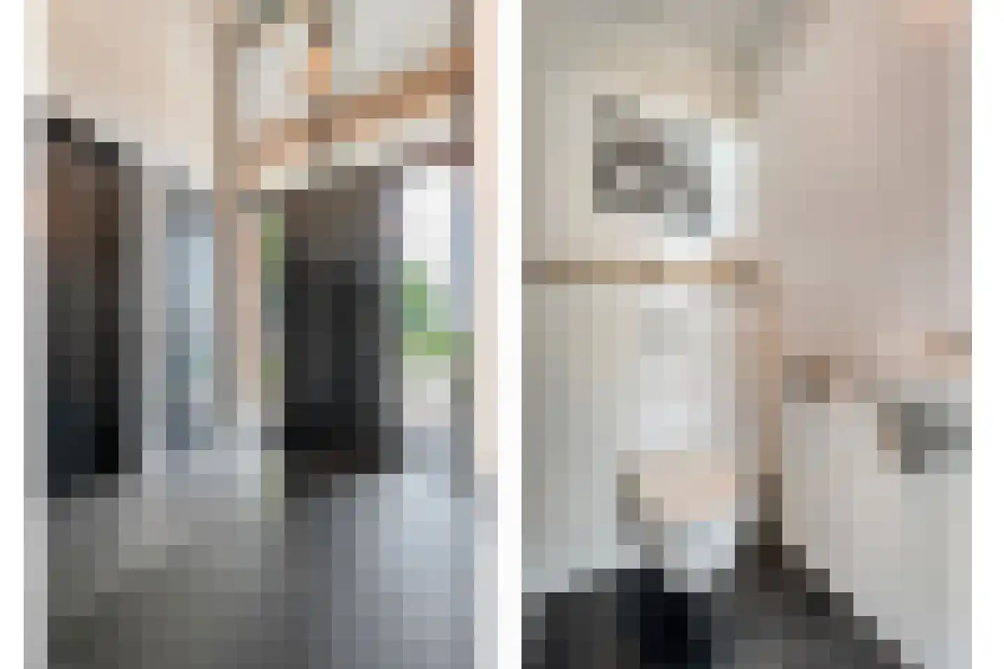Leggeloo 55 Dwingeloo thumbnail 17