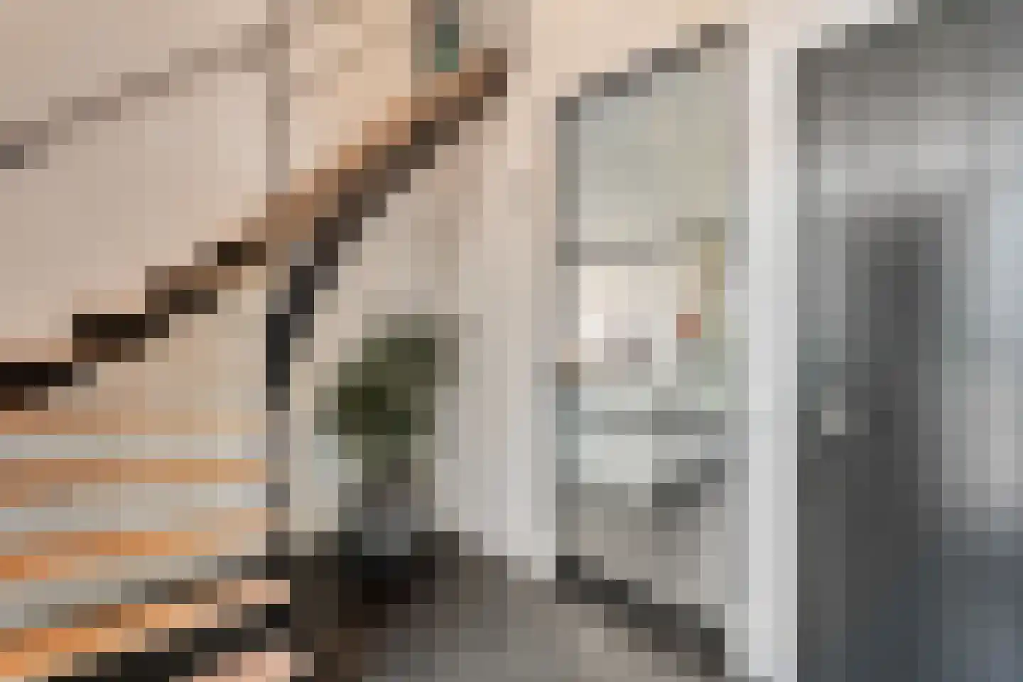 Leggeloo 55 Dwingeloo thumbnail 19
