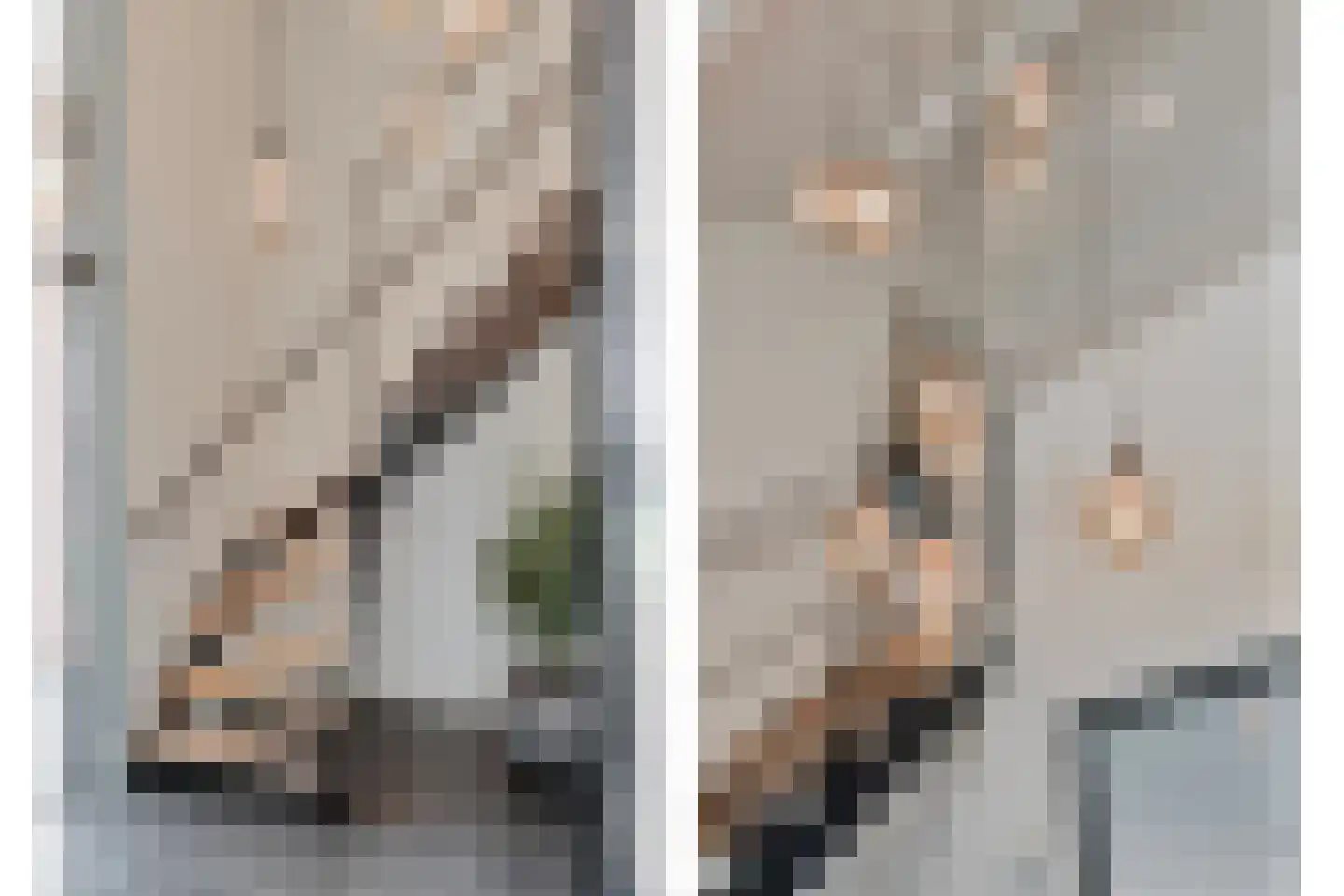 Leggeloo 55 Dwingeloo thumbnail 20