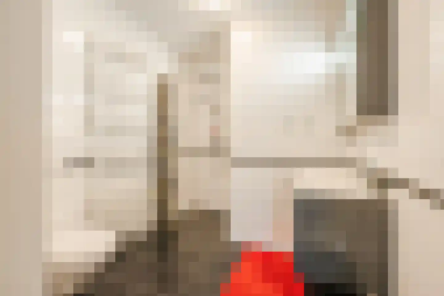 Leghorn 4 Meppel thumbnail 18