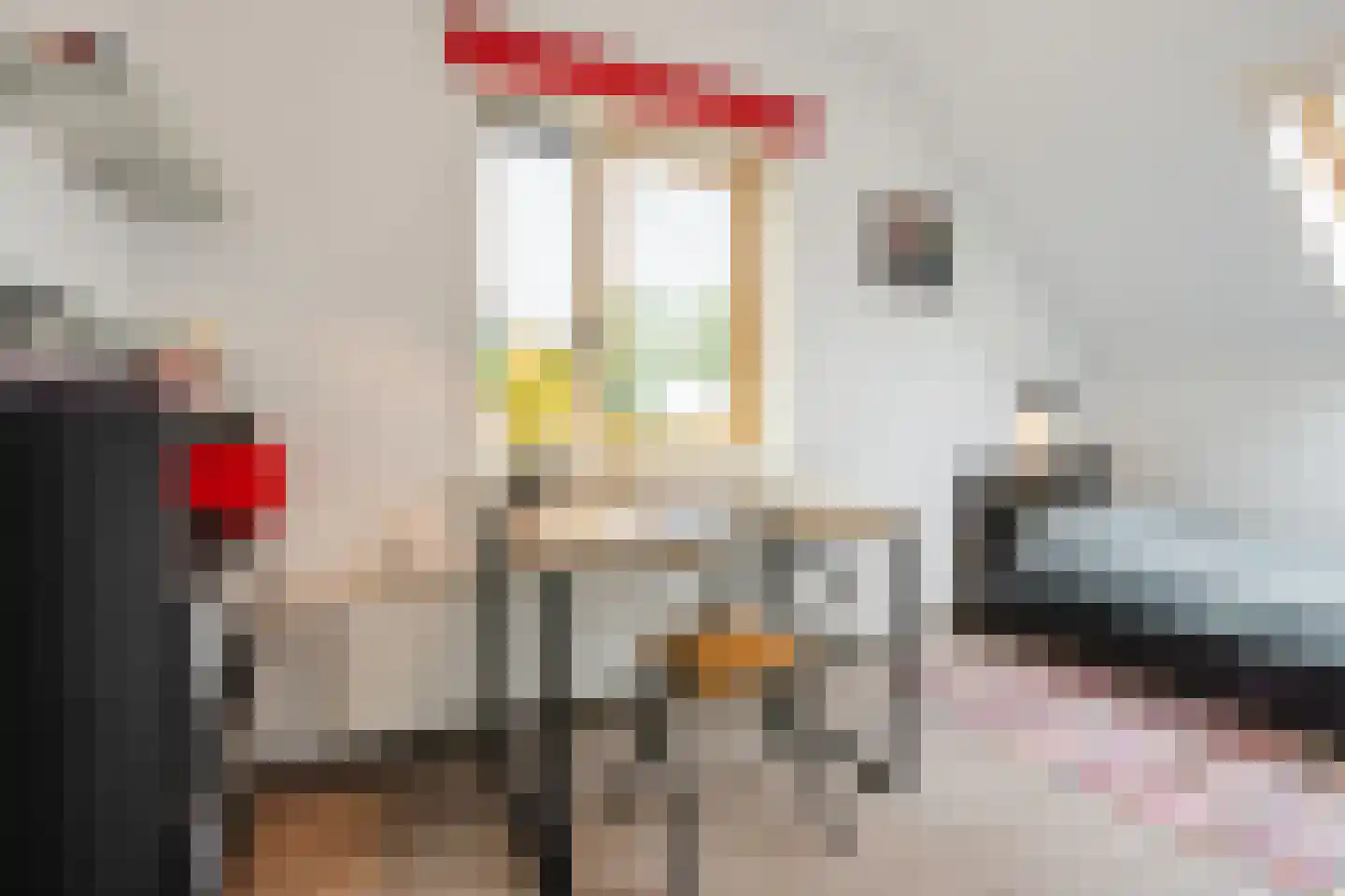 Leghorn 4 Meppel thumbnail 23