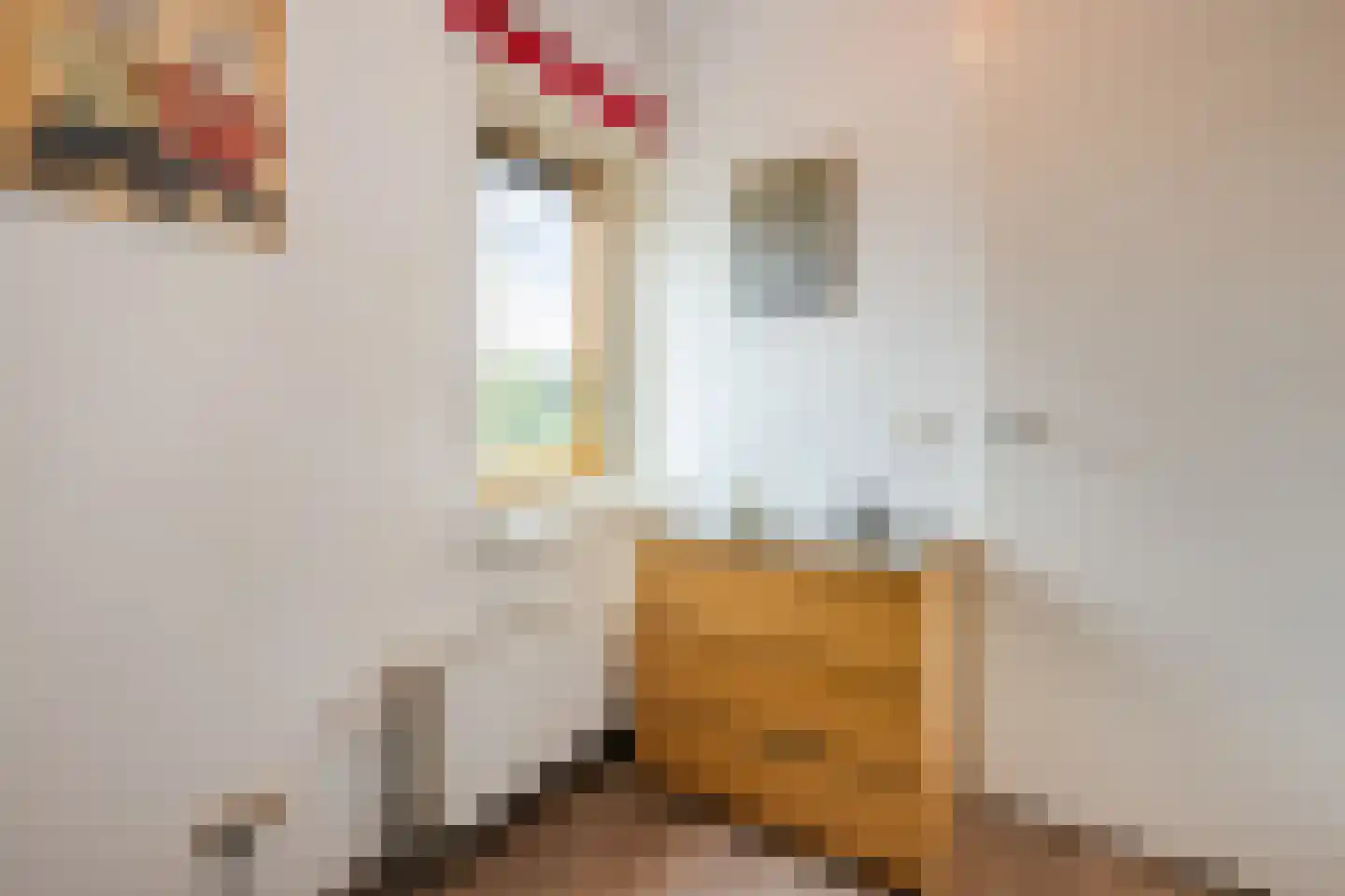 Leghorn 4 Meppel thumbnail 27