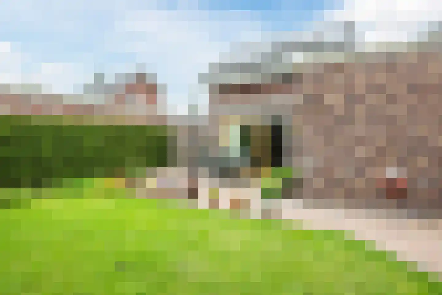 Leghorn 4 Meppel thumbnail 32