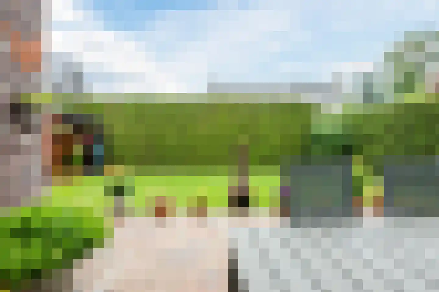 Leghorn 4 Meppel thumbnail 35