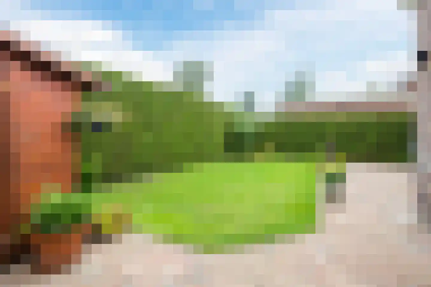 Leghorn 4 Meppel thumbnail 37