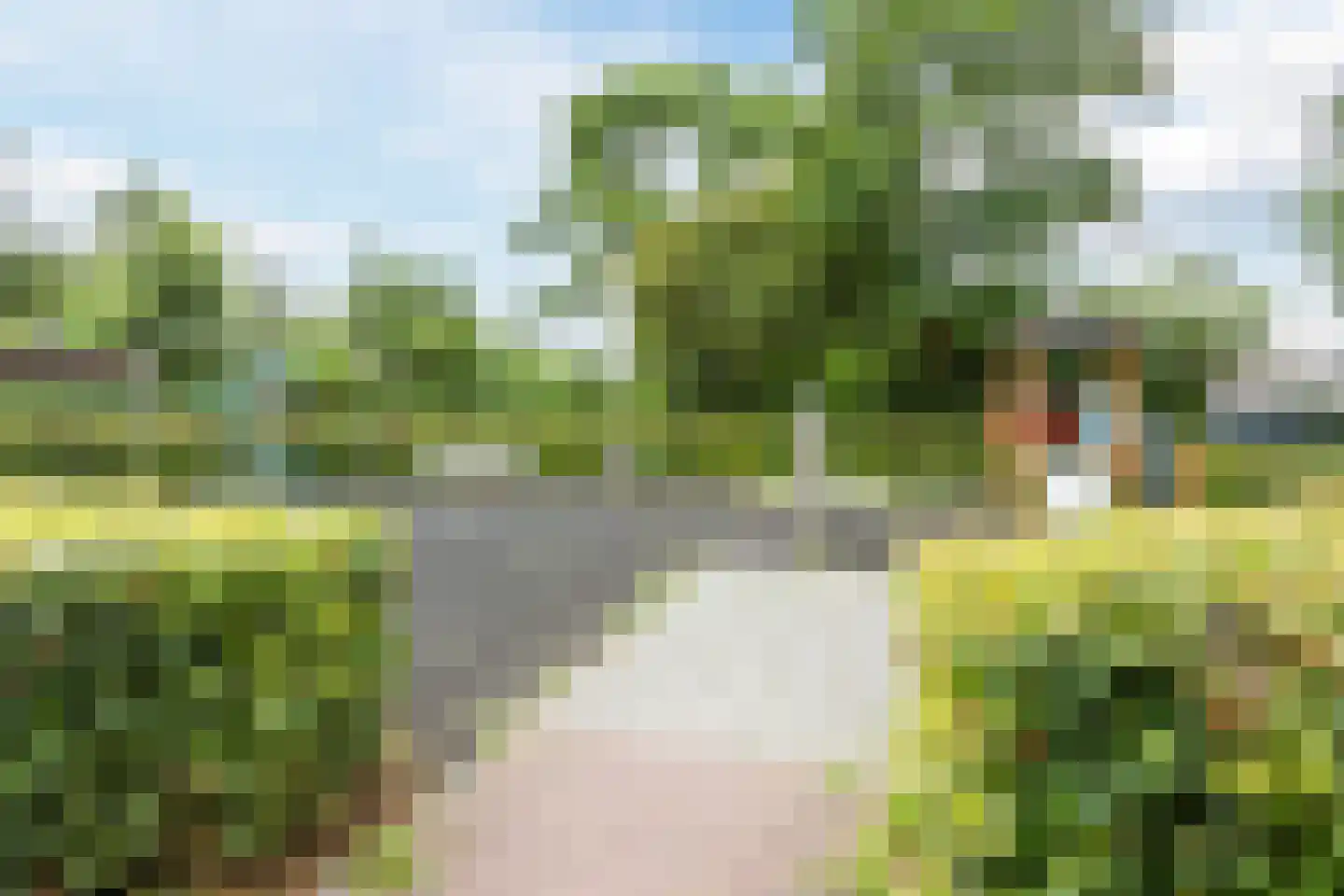 Leghorn 4 Meppel thumbnail 38