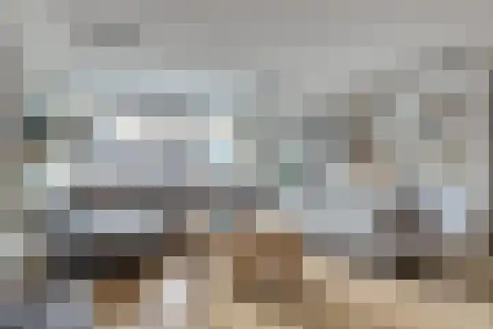 Leghorn 5 Schagerbrug thumbnail 11
