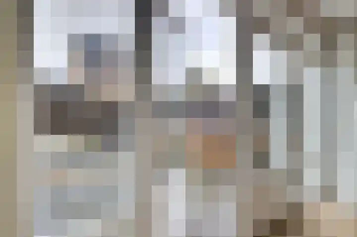 Leghorn 5 Schagerbrug thumbnail 21
