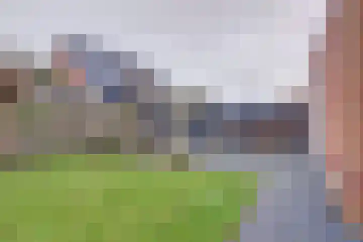 Leghorn 5 Schagerbrug thumbnail 24