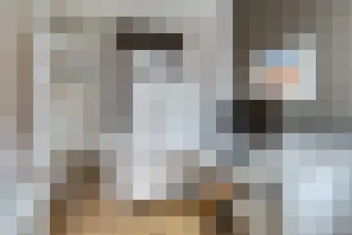 Leghorn 5 Schagerbrug thumbnail 33