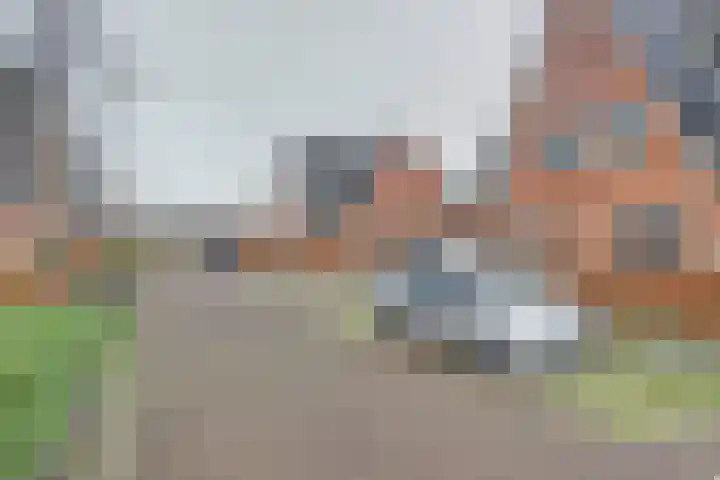 Leghorn 5 Schagerbrug thumbnail 41