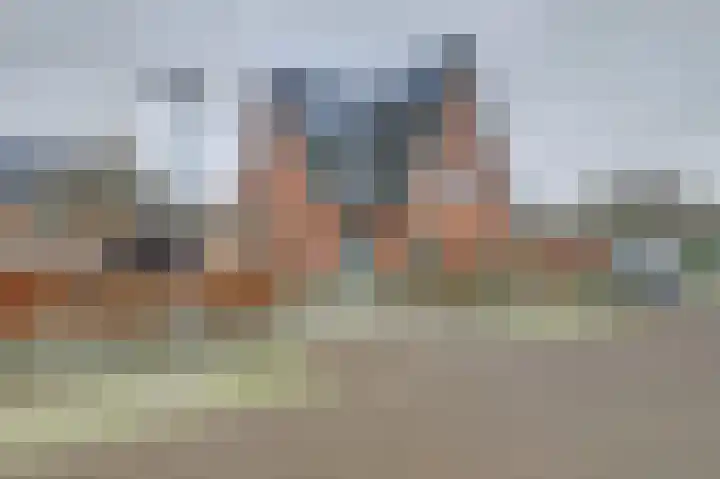 Leghorn 5 Schagerbrug thumbnail 7