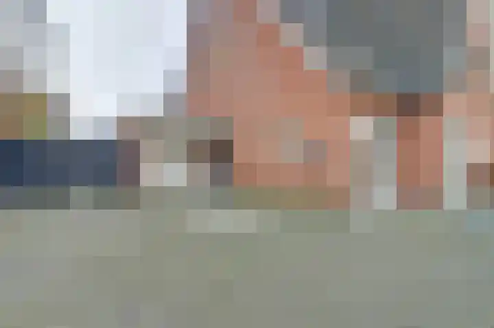 Leghorn 5 Schagerbrug thumbnail 8
