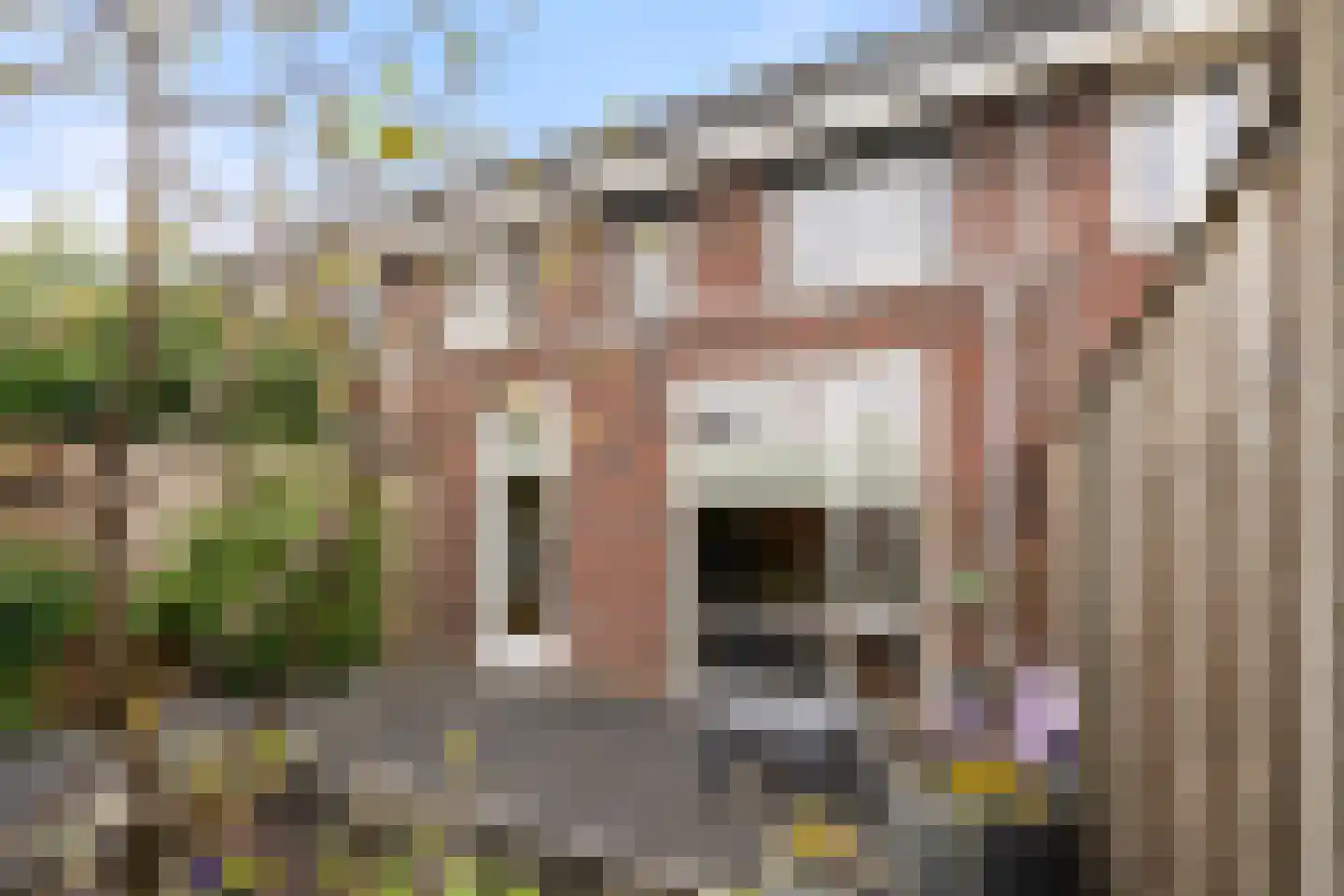 Leghornlaan 100 Barneveld thumbnail 31