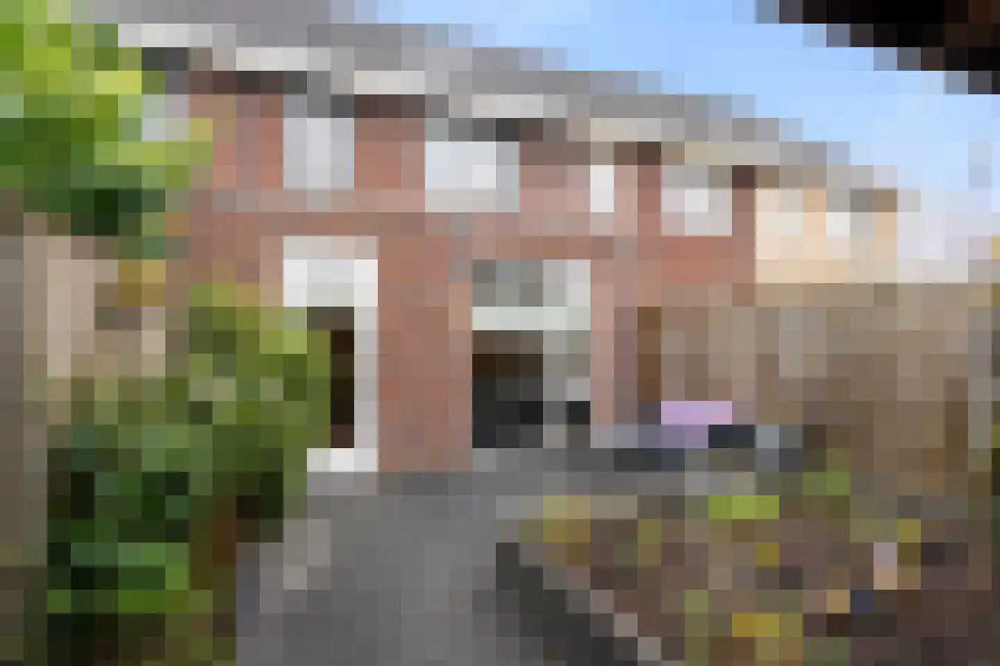 Leghornlaan 100 Barneveld thumbnail 4