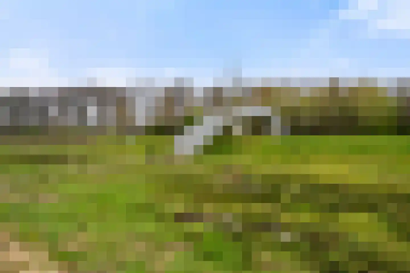 Leghornlaan 100 Barneveld thumbnail 41