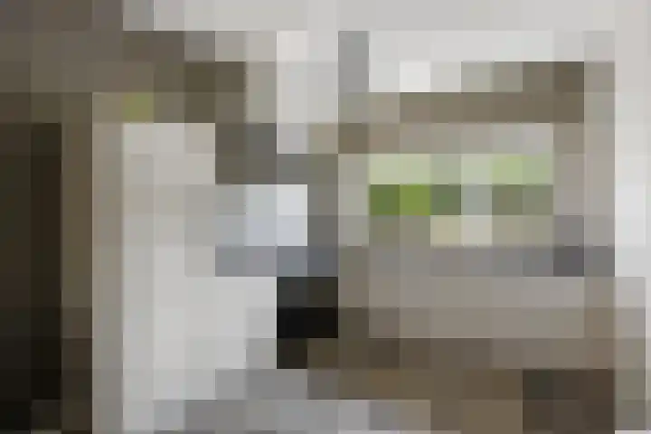 Leghornlaan 118 Barneveld thumbnail 12