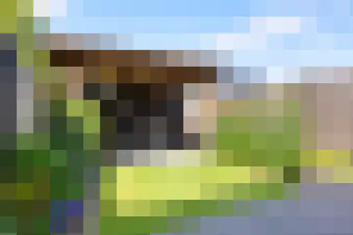 Leghornlaan 118 Barneveld thumbnail 32
