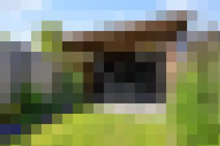 Leghornlaan 118 Barneveld thumbnail 33