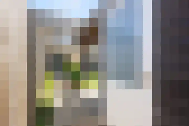 Leghornlaan 118 Barneveld thumbnail 34