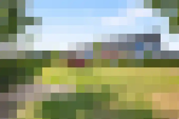 Leghornlaan 118 Barneveld thumbnail 35