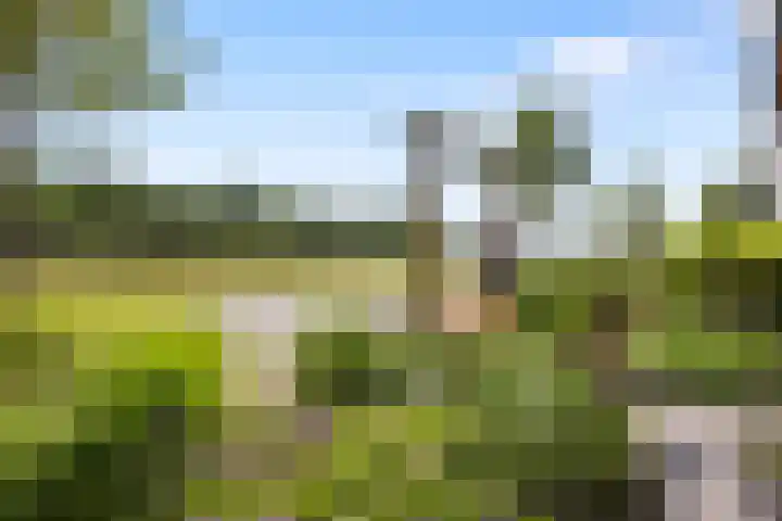 Leghornlaan 118 Barneveld thumbnail 4