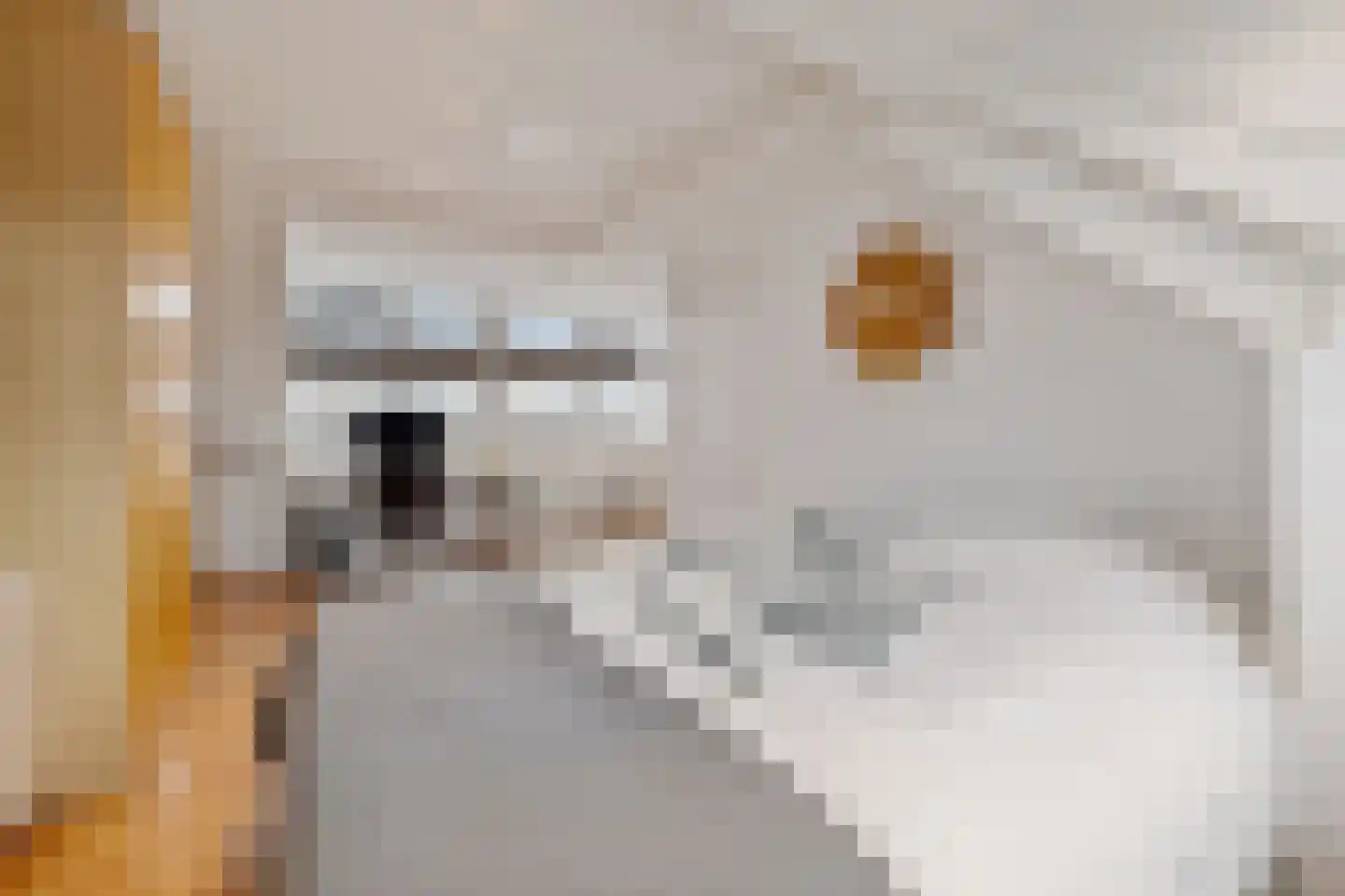 Leghornstraat 5 Amsterdam thumbnail 32