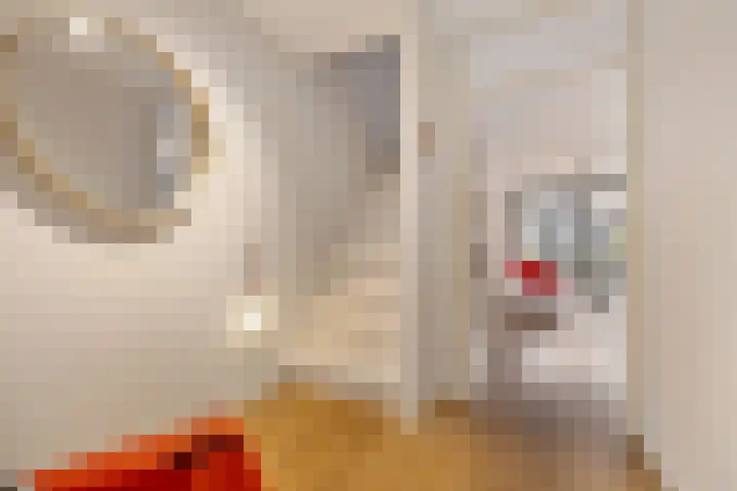 Leghornstraat 5 Amsterdam thumbnail 8