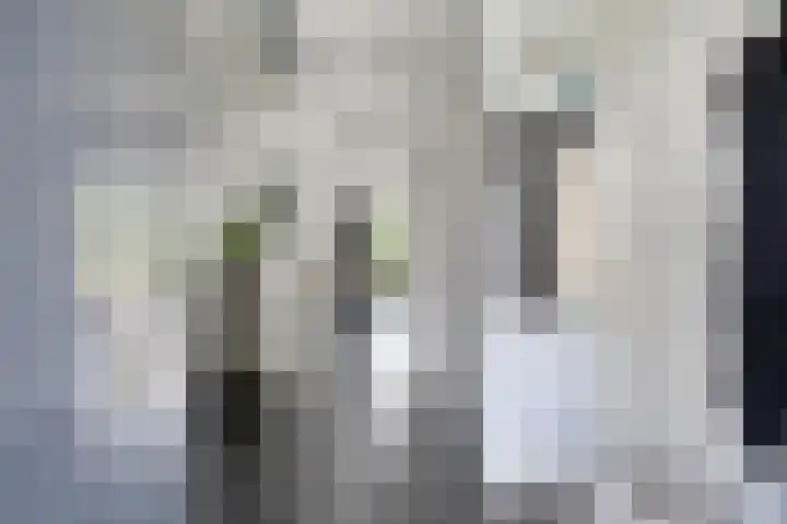 Legioen 23 Elst thumbnail 11