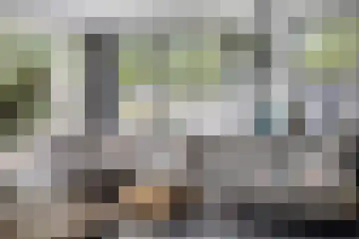 Legioen 23 Elst thumbnail 24