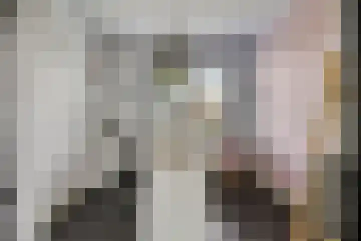Legioen 23 Elst thumbnail 26