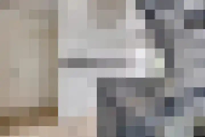 Legioen 23 Elst thumbnail 29