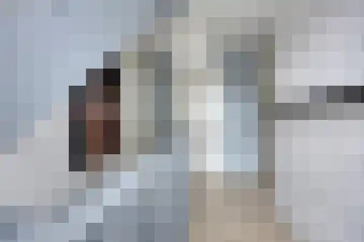 Legioen 23 Elst thumbnail 30