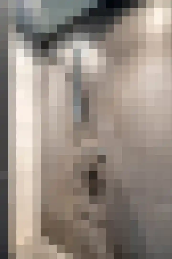 Legioen 23 Elst thumbnail 35