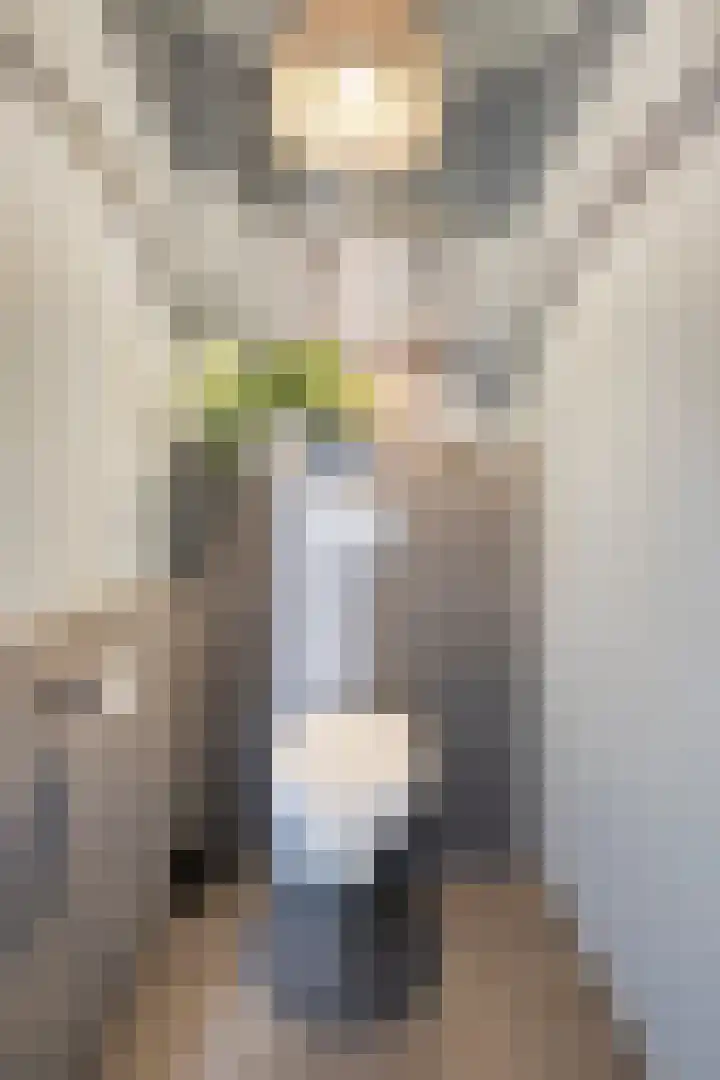 Legioen 23 Elst thumbnail 37