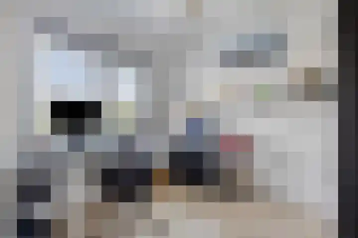 Legioen 23 Elst thumbnail 38