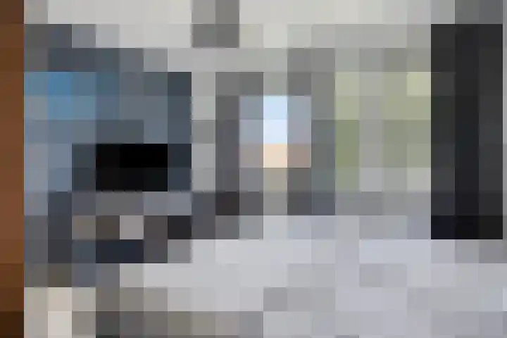 Legioen 23 Elst thumbnail 39