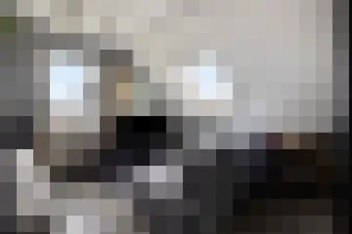 Legioen 23 Elst thumbnail 44