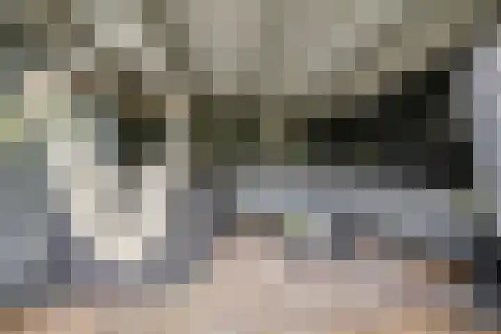 Legioen 23 Elst thumbnail 47