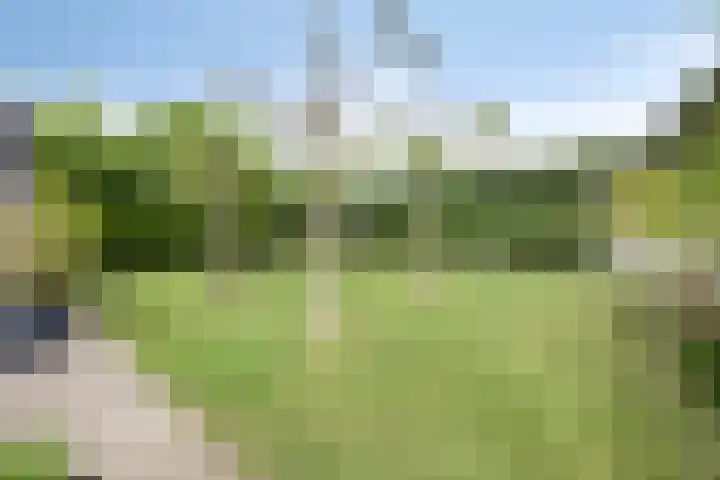 Legioen 23 Elst thumbnail 49