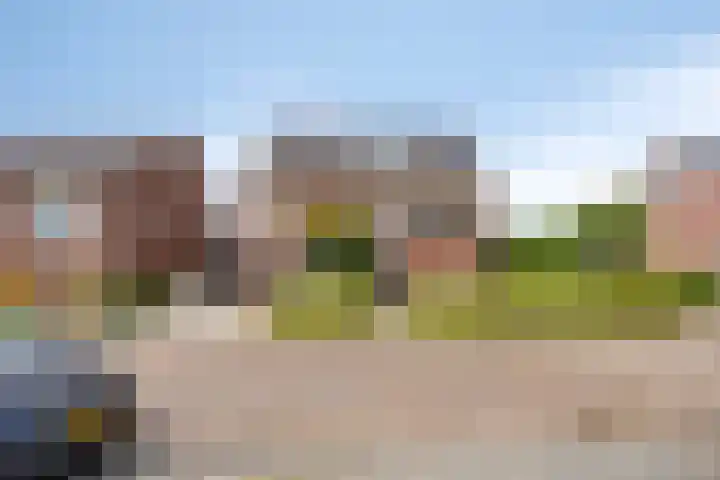 Legioen 23 Elst thumbnail 5