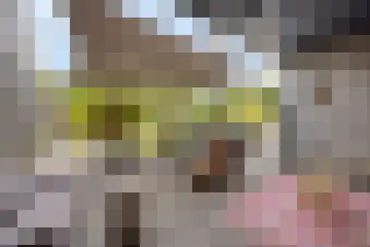 Legioen 23 Elst thumbnail 52