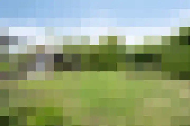 Legioen 23 Elst thumbnail 54
