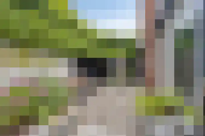 Legioen 23 Elst thumbnail 55