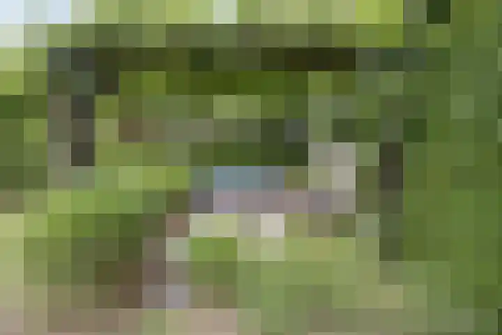 Legioen 23 Elst thumbnail 57