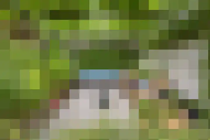 Legioen 23 Elst thumbnail 58