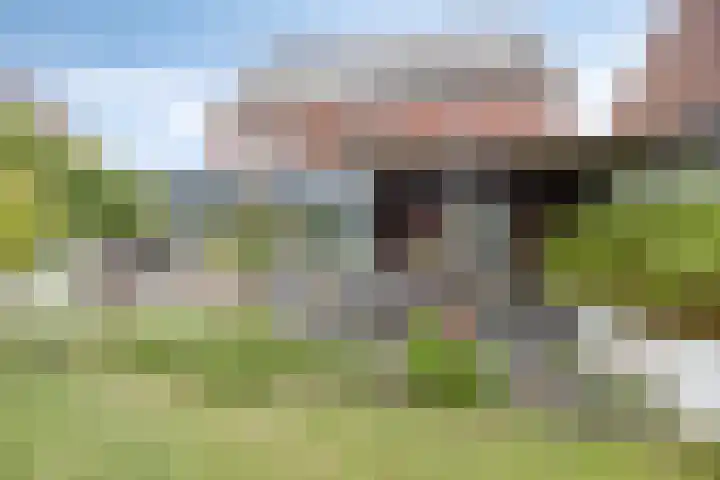 Legioen 23 Elst thumbnail 61