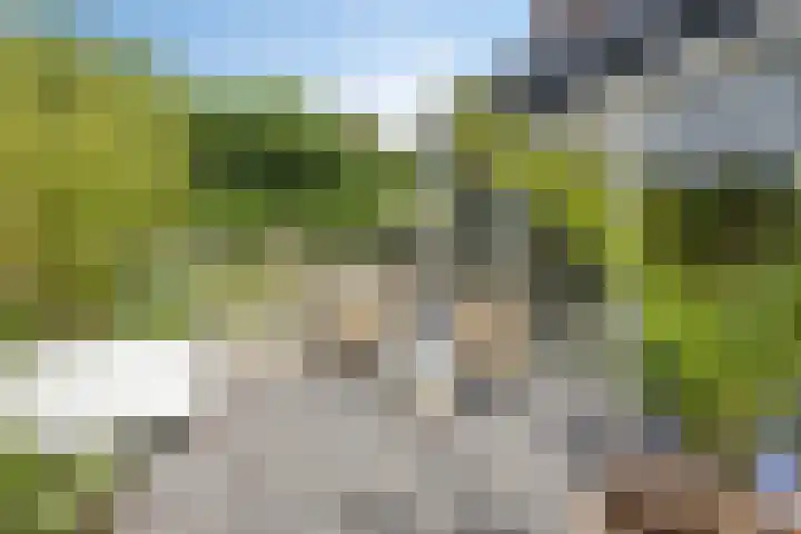 Legioen 23 Elst thumbnail 63
