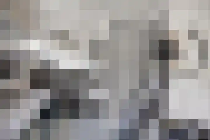 Legioen 23 Elst thumbnail 65