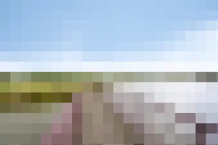 Legioen 23 Elst thumbnail 72